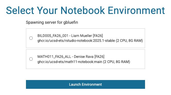 The Select Your Notebook Environment page. Two options are listed, each naming a course, its instructor and its term, with the image and its size below, 2 CPU and 8G RAM. A Launch Environment button sits below the list.